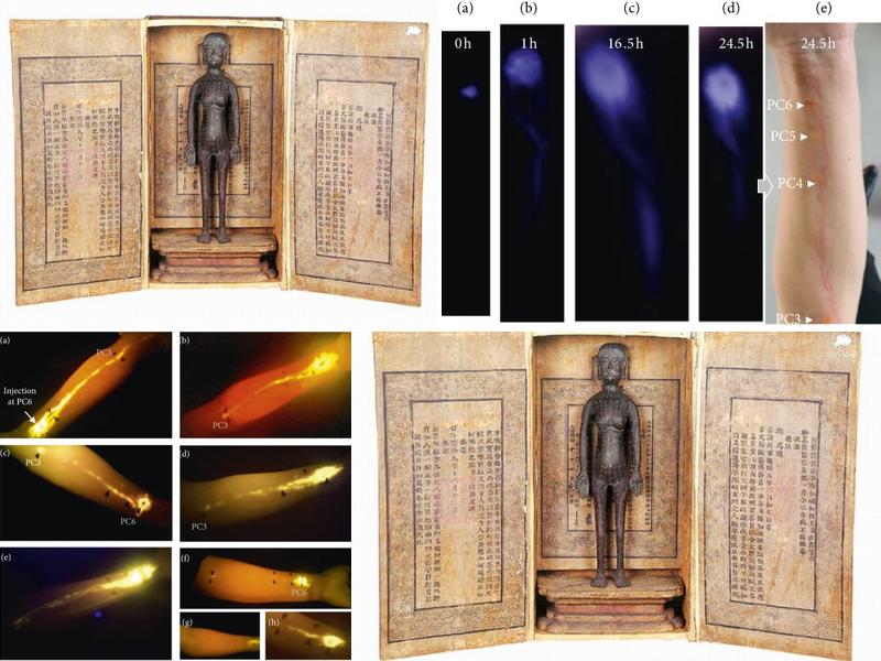 Lin Yang's Acupuncture & Herbs