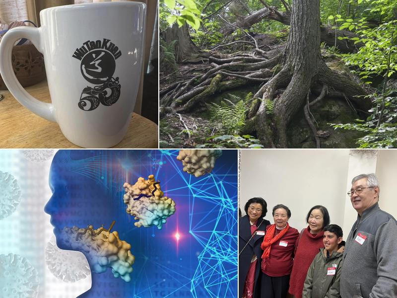 Zhi Dao Guan – The Taoist Center