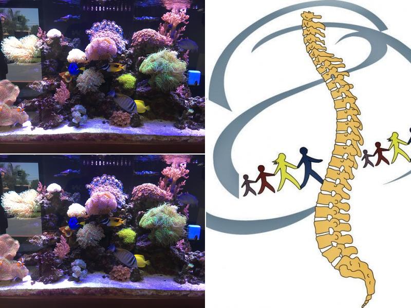 Body & Mind Chiropractic