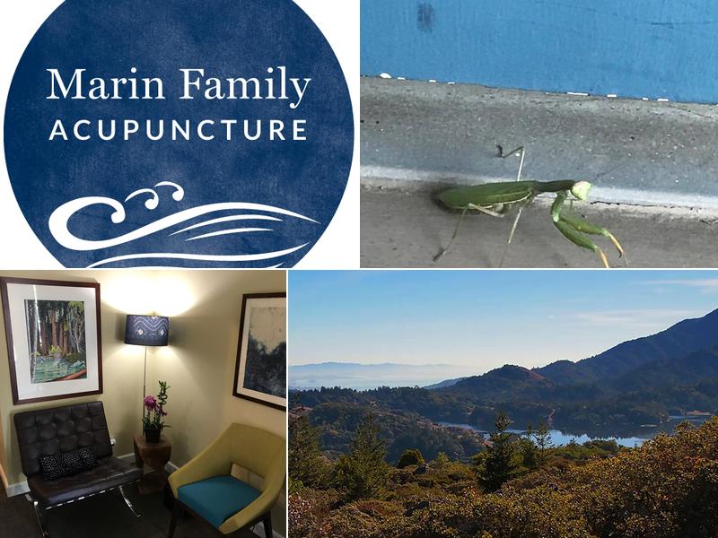 Marin Family Acupuncture