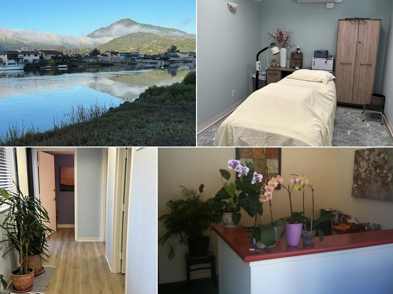 Bridge Wellness, Marin Acupuncture
