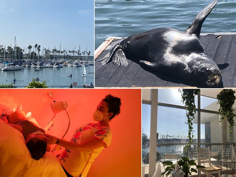 Jenny Garcia Acupuncture