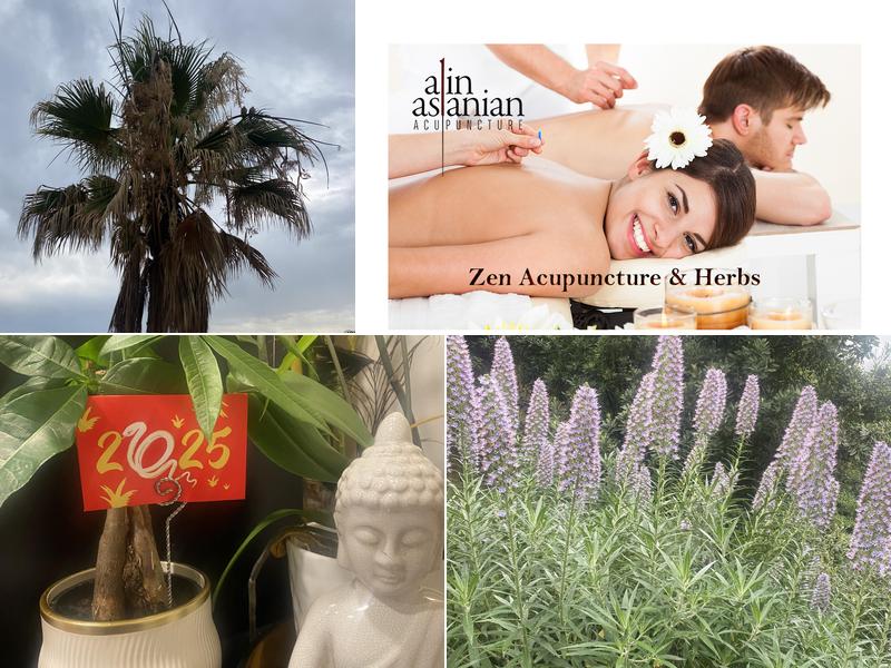 Zen Acupuncture & Herbs