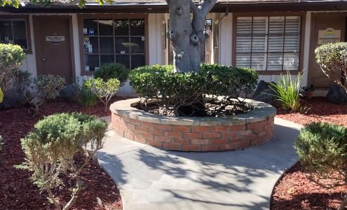 Zen Acupuncture & Herbal Medicine