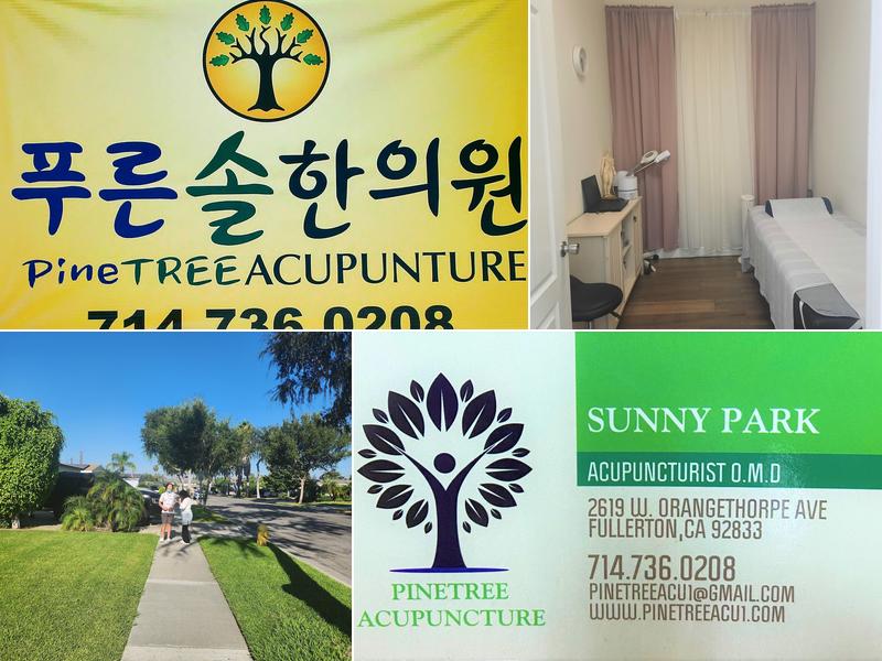 Pine Tree Acupuncture
