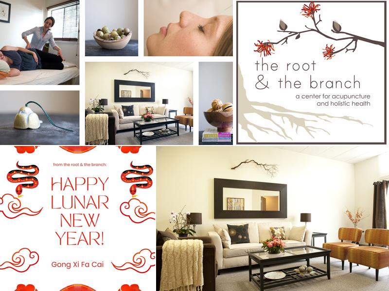 the root & the branch