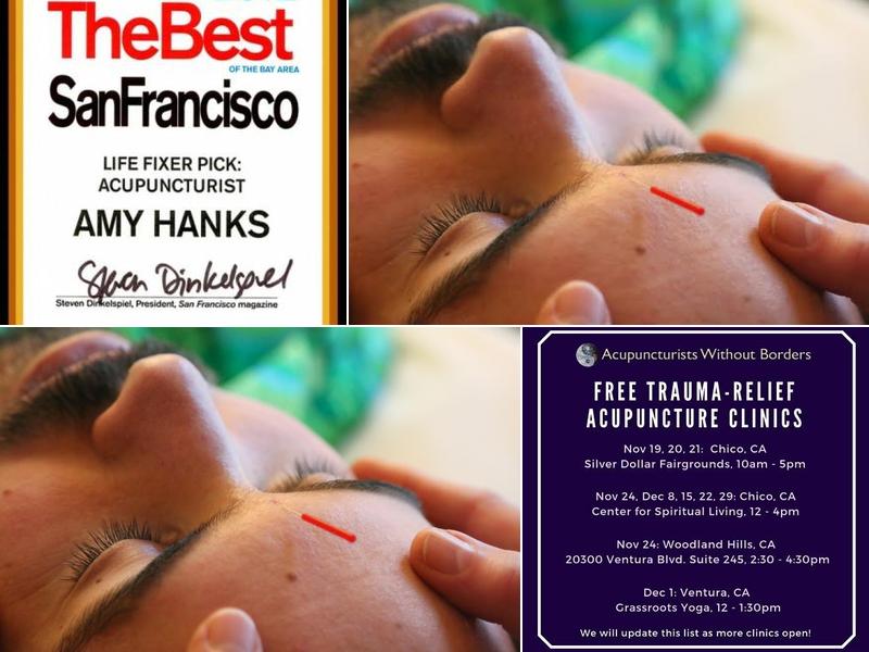 Amy Hanks, MS, L.Ac.