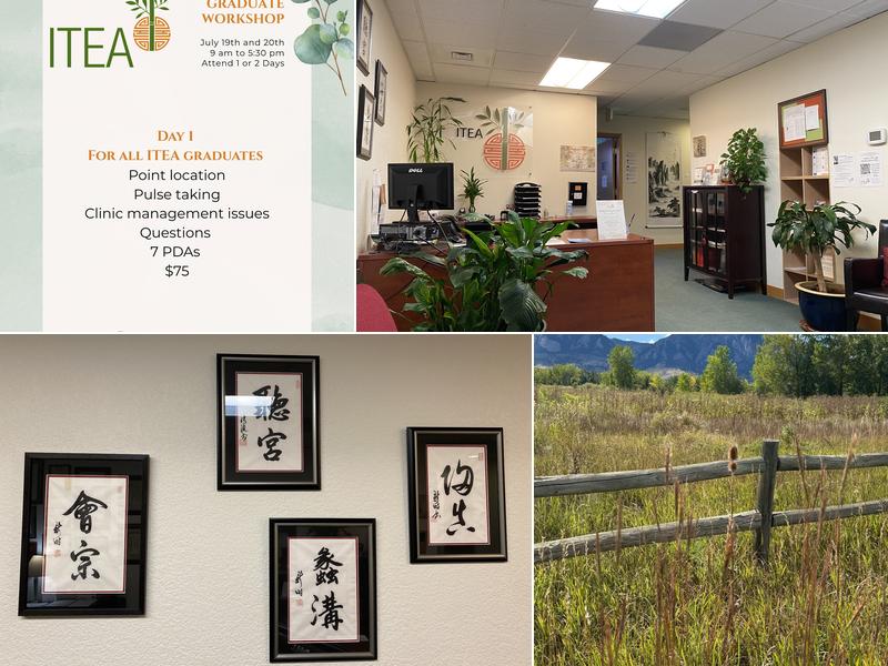 Institute of Taoist Education and Acupuncture (ITEA)