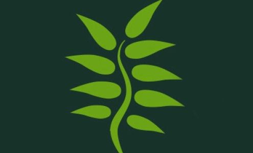 Suncoast Chiropractic