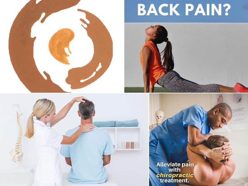 Dr. Charlene A. Canali, D.C., C.A.