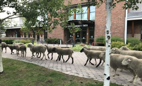 Wood River Community YMCA