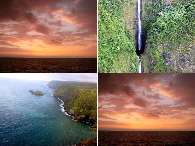 Acupuncture By Sarah West