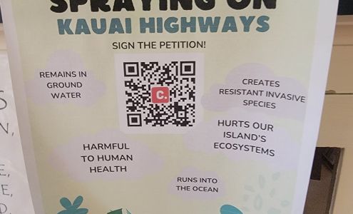 Natural Health Clinic