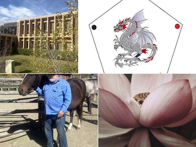 Lisa Lintner L.Ac., MstOM - Lotus medicine