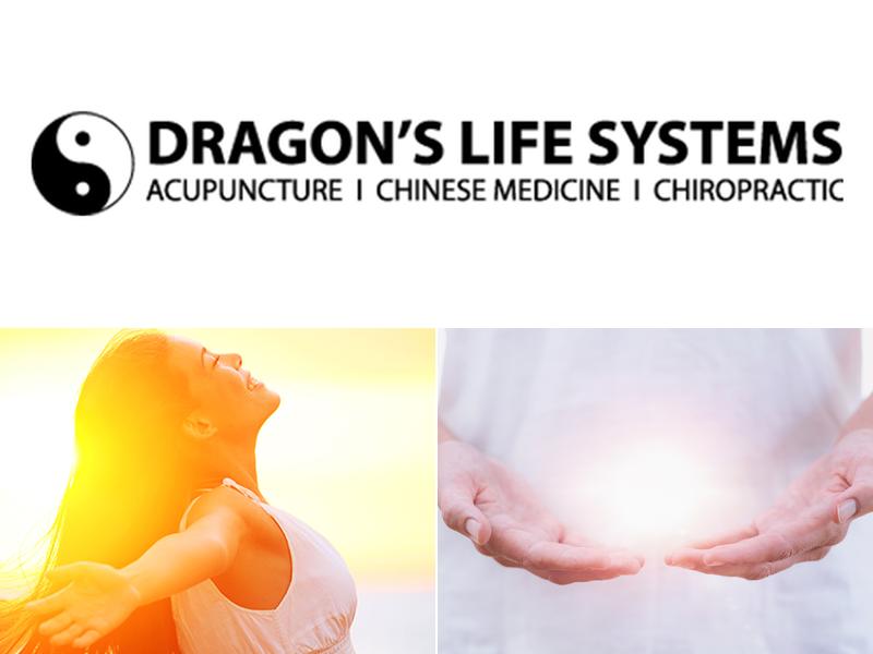 Dragon's Life Systems - Westmont, IL
