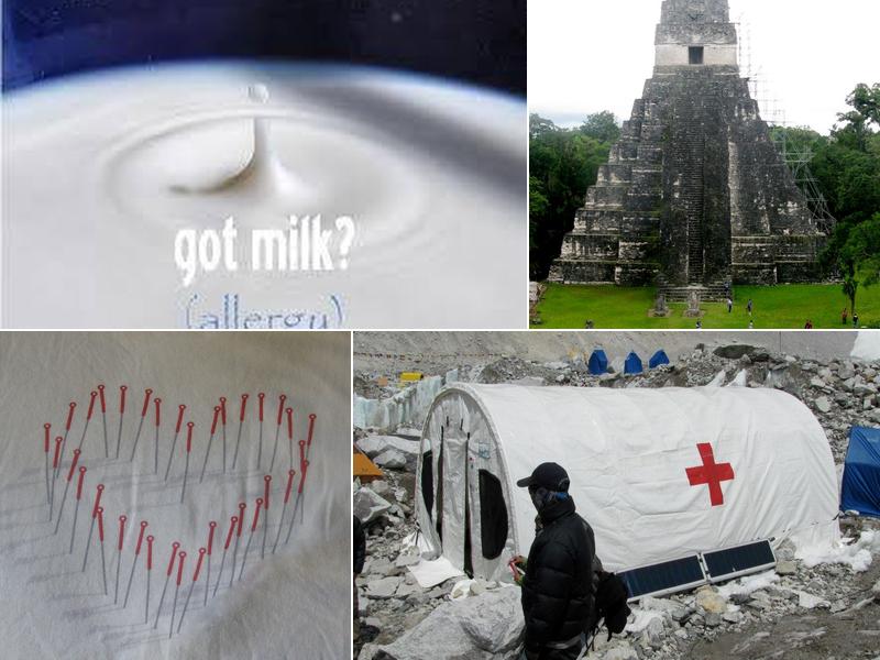 Essence Acupuncture Studio