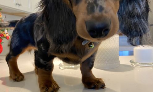 Holistic Chiropractic & Healing Arts Center