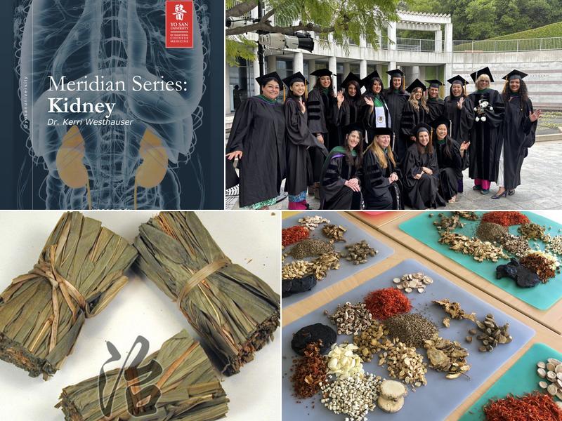 Westhauser Acupuncture and Chinese Herbal Medicine