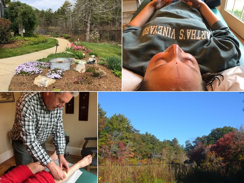 The Acupuncture and Herbal Center