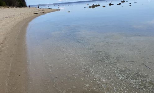 April Allen, Acupuncturist