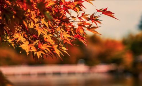 Aspenridge Chiropractic Center P.A. 2511 Washington Ave, Cloquet Minnesota 55720