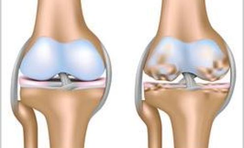 DBNJ Sports Medicine