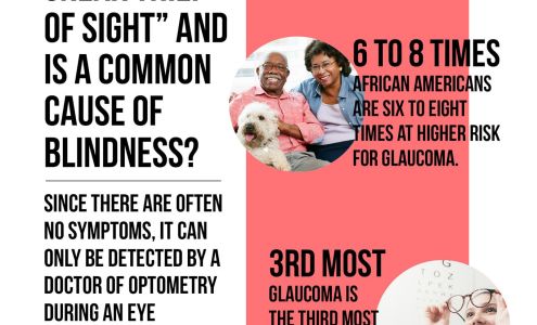 Buena Vista Eye Care: Hamashige S Sean OD