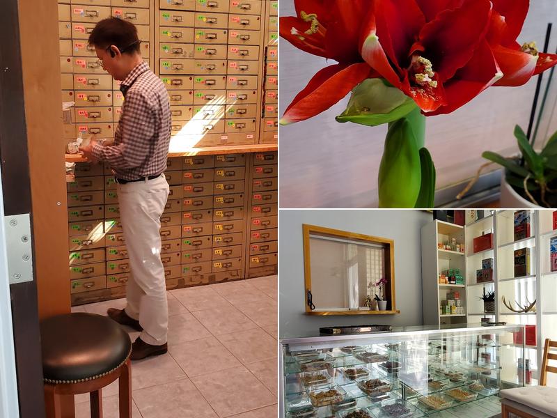 L K Wong Oriental Therapy LLC