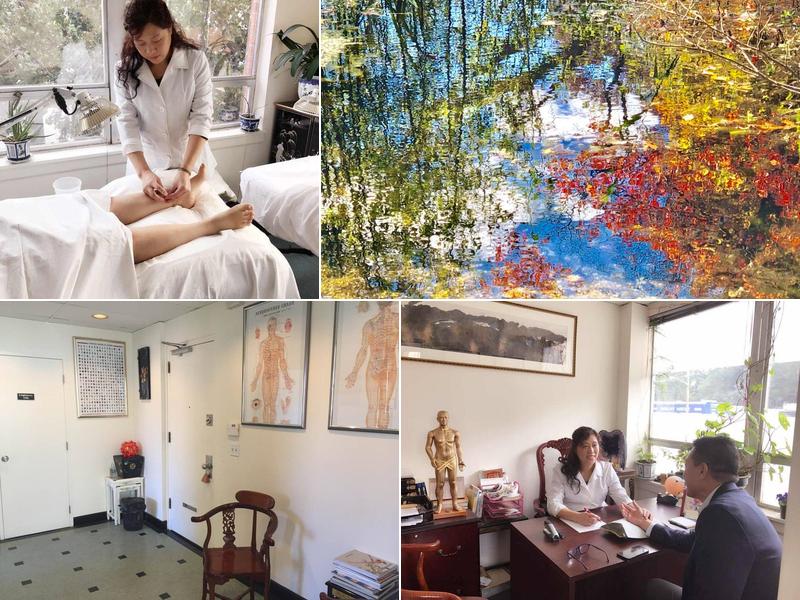 Long Dragon Acupuncture PC