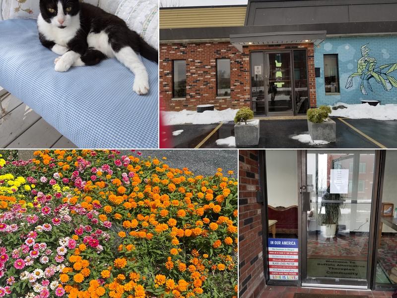 Buffalo Alternative Therapies