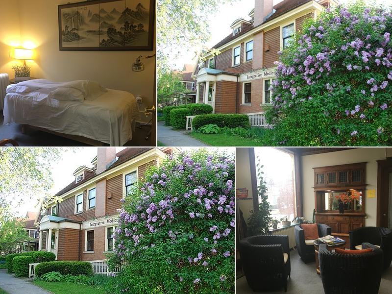 Ann Wang, PhD, L.Ac.