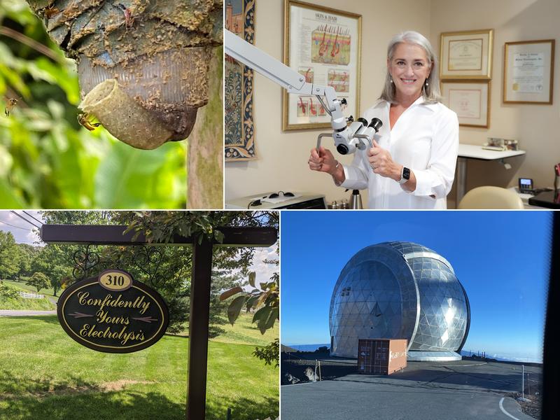 ConfidentlyYours Electrolysis