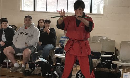 American Academy of Martial Arts