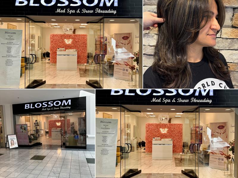Blossom Med Spa & Brow Threading