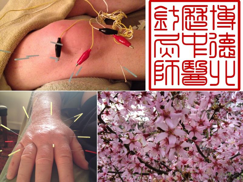 Piedmont Acupuncture & Oriental Medicine