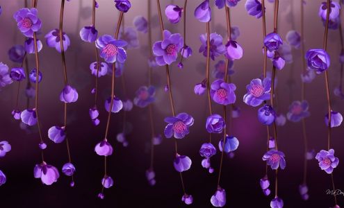 Crystal Clarity Medical Spa