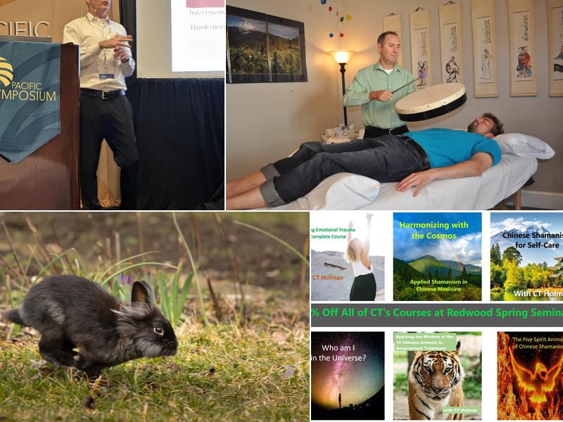 Yin Spring Acupuncture and Wellness