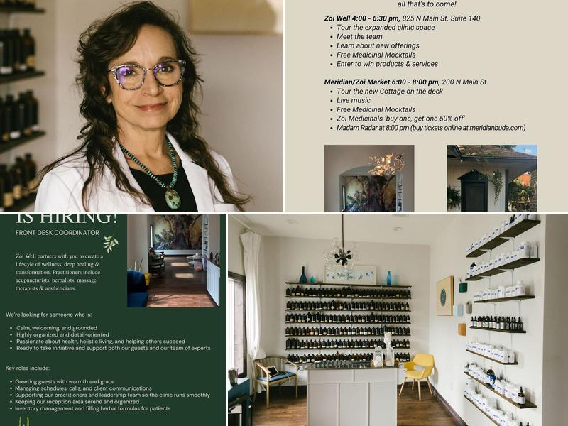 Zoi Acupuncture & Herbal Medicine