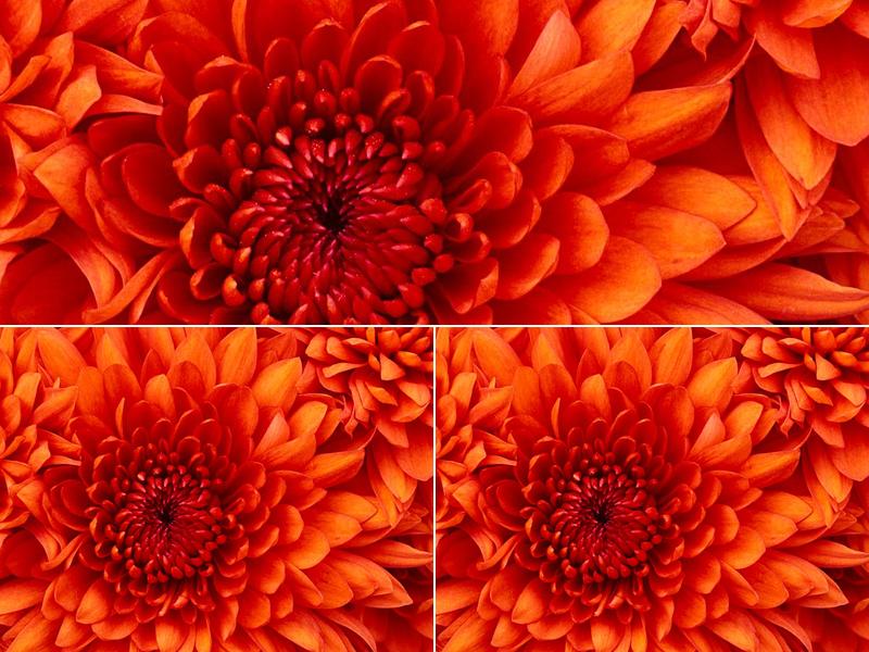 Shoreline Natural Medicine