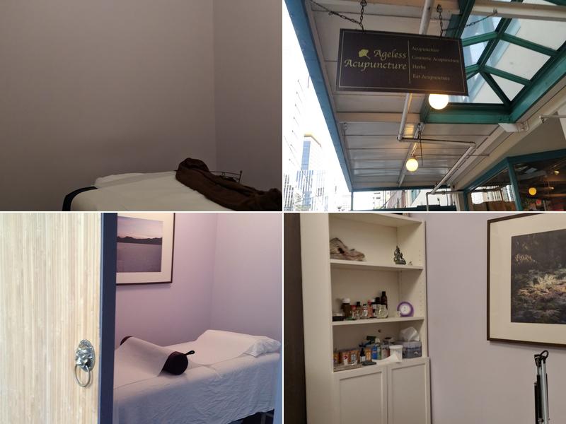 Ageless Acupuncture Maria Portnaya L.Ac., MAcOM