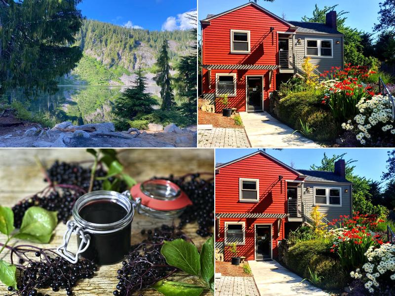 One Earth Natural Medicine Clinic