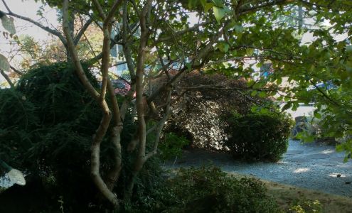 Family First Chiropractic and Wellness Center