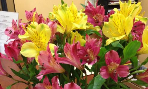 Eastern Wisdom Healing Center