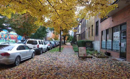 Main Acupuncture Clinic 232 E 11th Ave, Vancouver British Columbia V5T 2C3