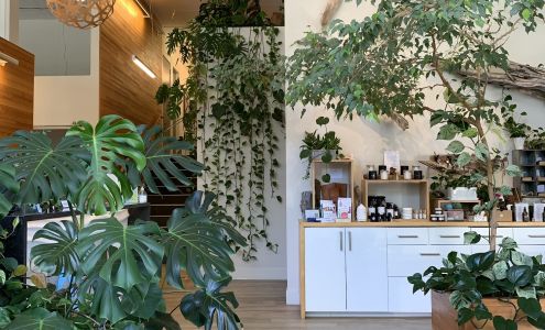 Qi Integrated Health