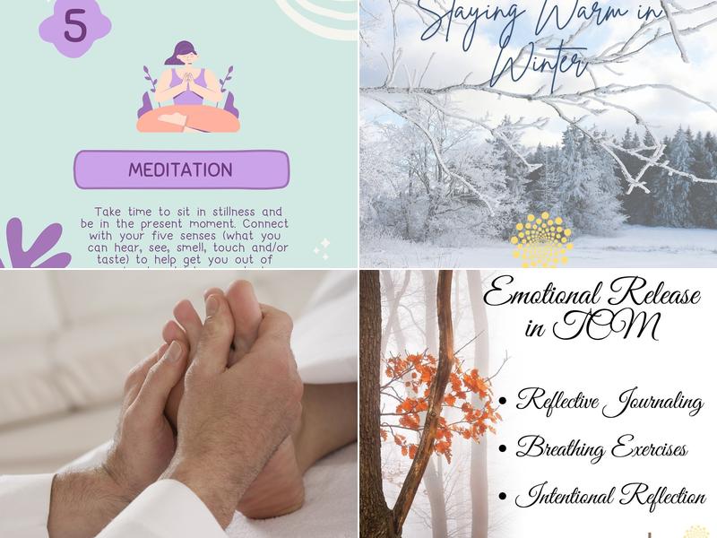 Dr. Adrienne Chan Dr.TCM