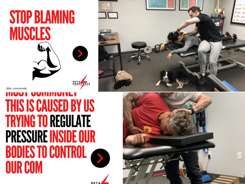 Elite Performance and Rehab