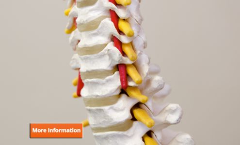 Dynamic Chiropractic