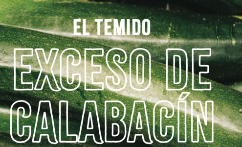 Big Sur Health Center 46896 CA-1, Big Sur California 93920