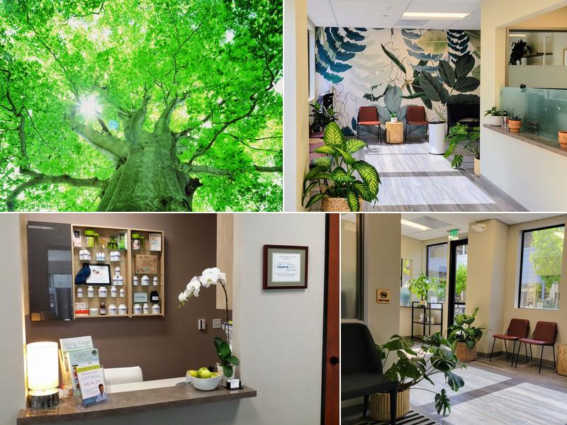 Gregory M. Berkoff, DC